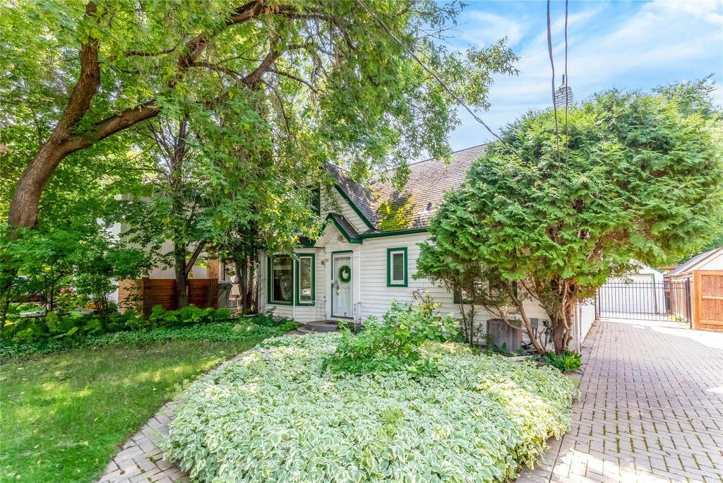 Garden beds and mature greenery in the yard